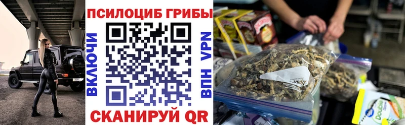 Псилоцибиновые грибы Psilocybe  даркнет сайт  Ипатово 